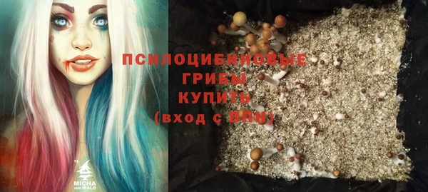 тгк Дмитров