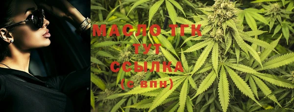 тгк Дмитров