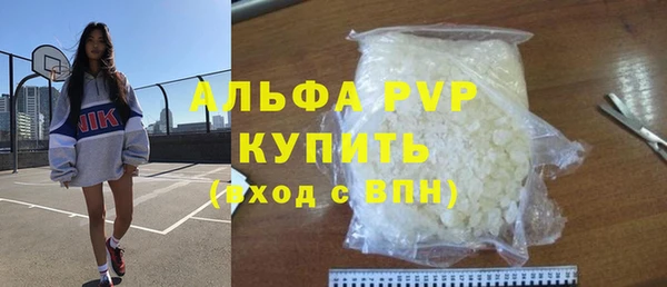 мдпв Елабуга