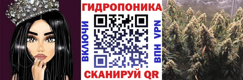 Марихуана конопля  Томмот 